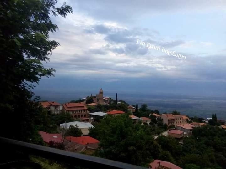 Tsitso & Soso Guesthouse Tsnori Ngoại thất bức ảnh