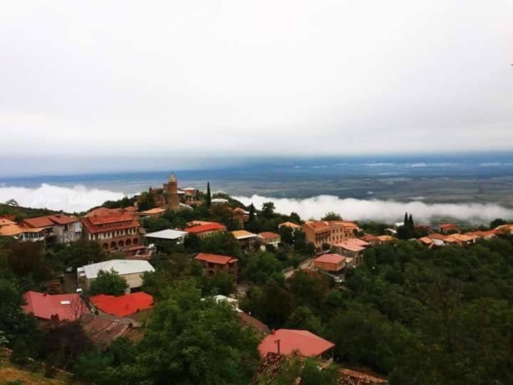 Tsitso & Soso Guesthouse Tsnori Ngoại thất bức ảnh